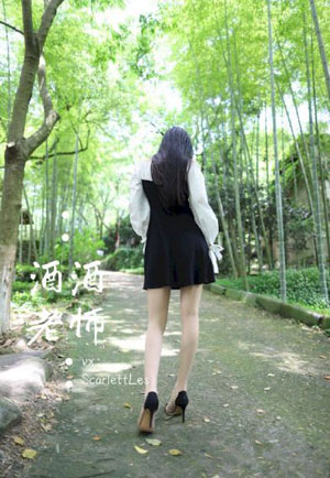海底小纵队第八季_电视剧高清在线观看